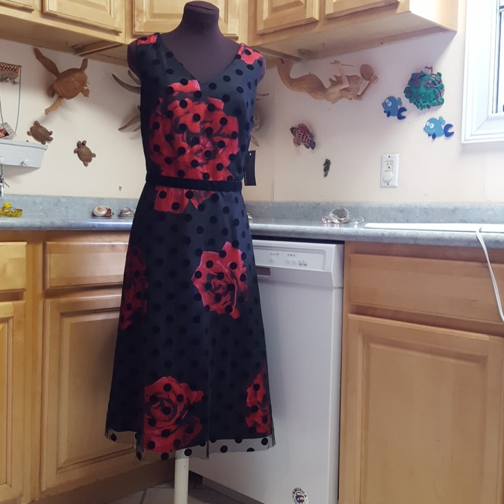 NWT Donna Ricco Polka Dot & Roses Formal Dress 16